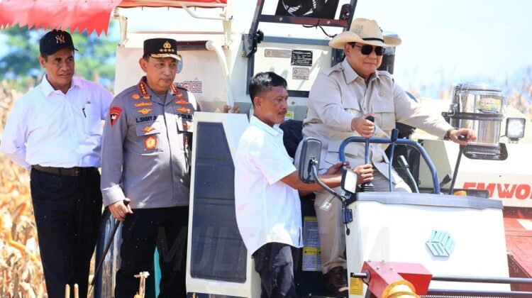 Presiden RI Jenderal TNI (Purn.) H. Prabowo Subianto menyambut panen raya jagung yang diinisiasi Polri