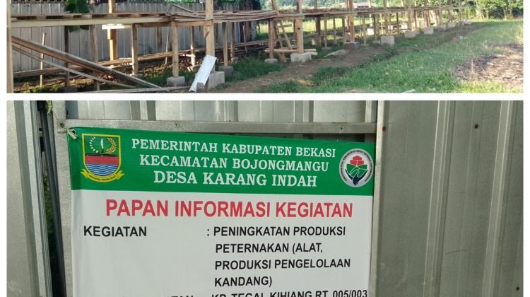 Kepala Desa karang Indah Diduga Mark Up Anggaran Peningkatan Produksi Peternakan Realisasi Dana Desa Tahun  2025