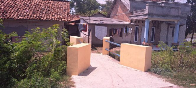 
					AWIBB Mendesak Inspektorat Kab. Bekasi, dan BPK Audit, Sidak Pembangunan Jembatan di Desa Karangpatri