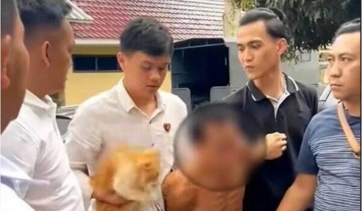 Viral Tukang Jagal Kucing Di Pagar Alam SumSel Berakhir Di Jeruji Besi