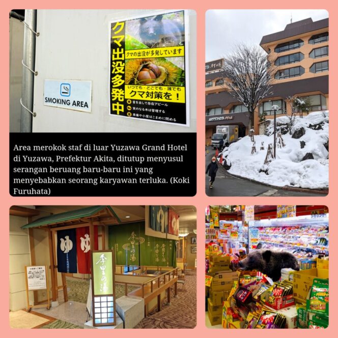 
					Gubernur Akita Minta Bantuan Pasukan SDF Saat Serangan Beruang Meningkat.