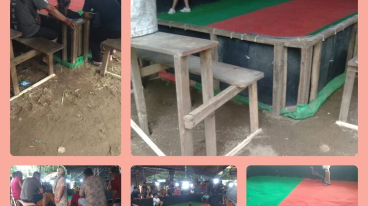 APH Trenggakek Tutup Mata Terkait Perjudian Sabung Ayam,Why???