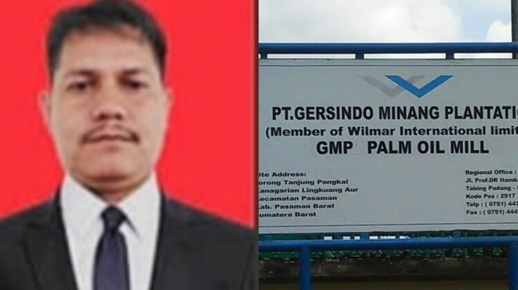 Haram Secara Adat!” Panglimo Rajo Bongkar Dugaan Perampasan Tanah Ulayat oleh PT Gersindo Minang Plantation