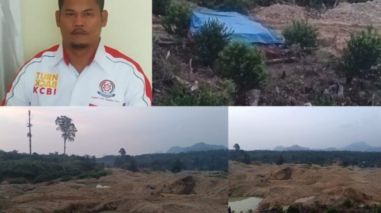 PETI Bangkit dari ‘Kematian’, Pasaman Barat Disandera Mafia Tambang