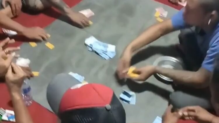 TAJEN DI BALI BERUBAH MENJADI ARENA JUDI TERORGANISIR – DUGAAN KETERLIBATAN OKNUM APARAT, KEGIATAN BERJALAN TANPA GANGGUAN